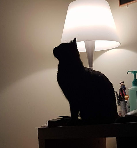 Mona 5.11.18 1.jpg