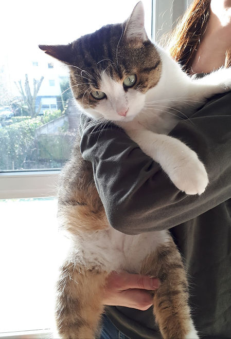 Kiwi 2.2.19.jpeg