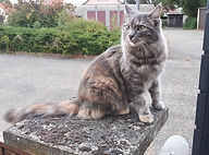 Olympe Orka 21.10.19.jpg
