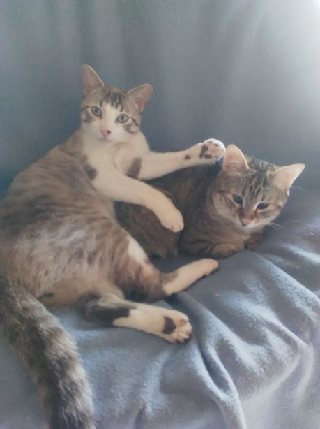 Charly et Ophelie 3.4.19.jpg