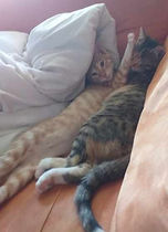 Plume et Poupoune 28.10.19 3.jpg
