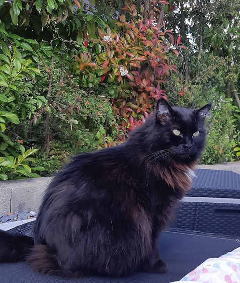 Nelson 19.5.19 5.jpg