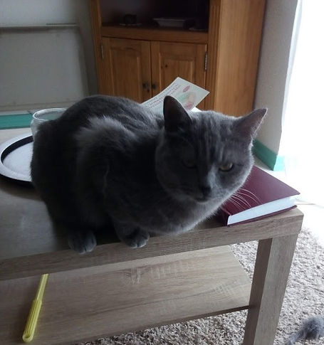 Prisca 16.3.19 3.jpg