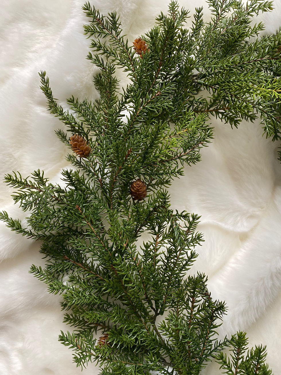 Thumbnail: Faux Pine Cone Garland 180cm