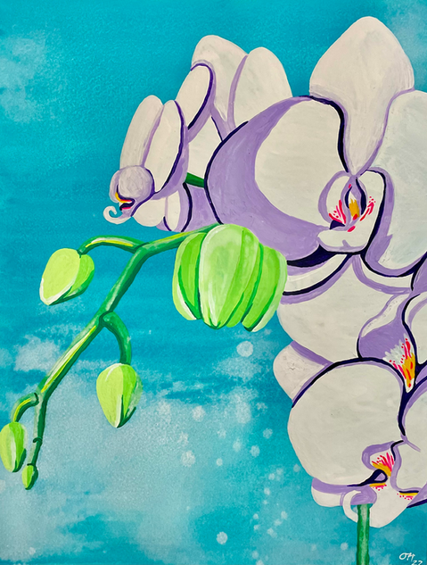 Orchid