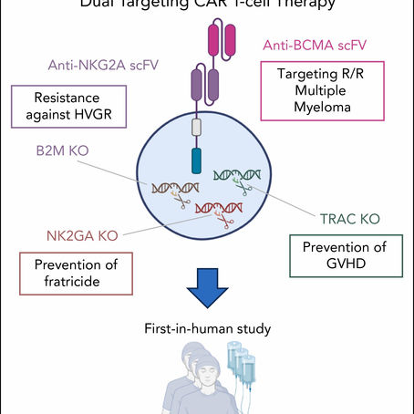 Commentary "A CAR against rejection: dual-targeting allogeneic T cells"
