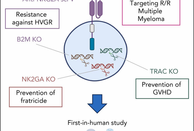 Commentary "A CAR against rejection: dual-targeting allogeneic T cells"