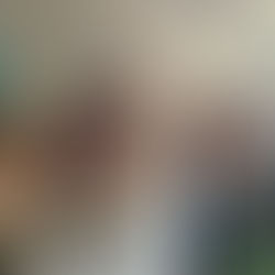 Celebrating Christmas 2025