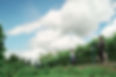 RYU01327-2.jpg