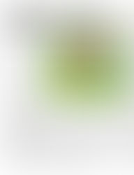 Télégramme du 21 février 2026