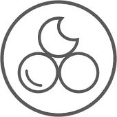 M_Flavors%20without%20background%20(1)_e