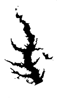156200326759250551 (2).png