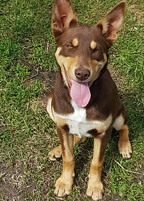 Katie 15th Nov 19.jpg