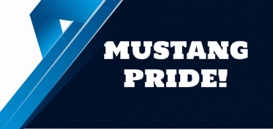 Mustang Pride 2.jpg