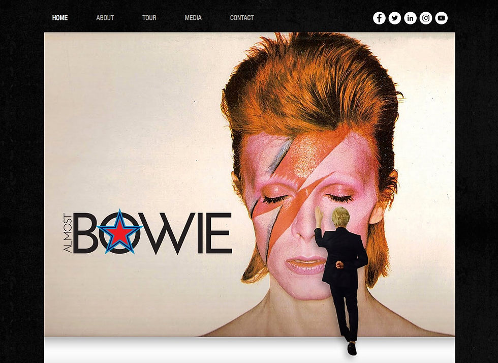 almostbowie.com