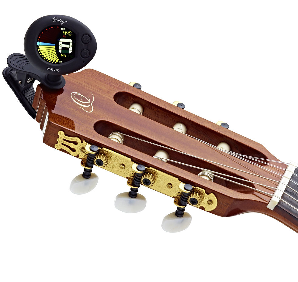 ACCORDEUR | ORTEGA OCAT-2BK TUNER | Indie MusicShop