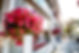 Downtown Orangeville Summer 2019.jpg