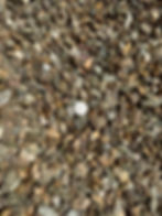 Thumbnail: TABLE MESA BROWN