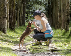 Screenshot 2025-05-13 220828