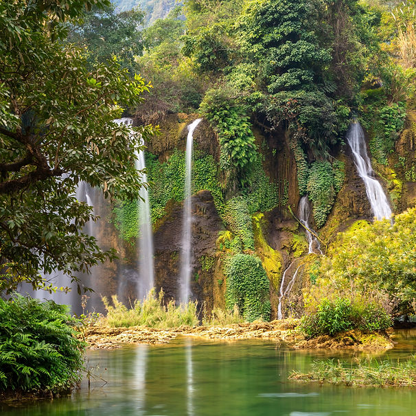 shutterstock_2262602333.jpg