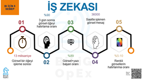 SİZİ İŞ ZEKASI (BI) KULLANIMINA YÖNLENDİRECEK 5 KANITLANMIŞ SEBEP