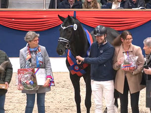 Barnsley Named Champion of the 2025 Oldenburg Stallion Licensing