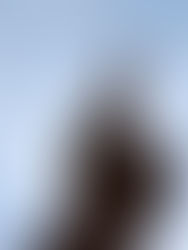 問題意識の欠落した新浜野球部に未来はあるのか？