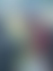 新浜野球部　口コミの謎コメント