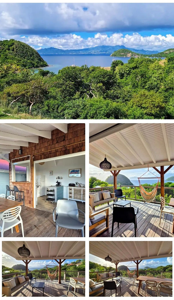 WhatsApp Image 2026-02-16 at 18.08.40.jpeg