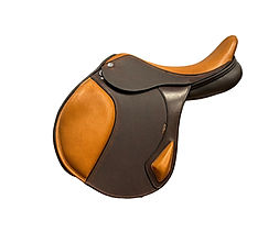 Molineux Standard Flap Jump Saddle