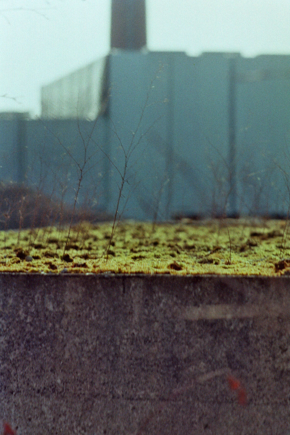 imm022_35