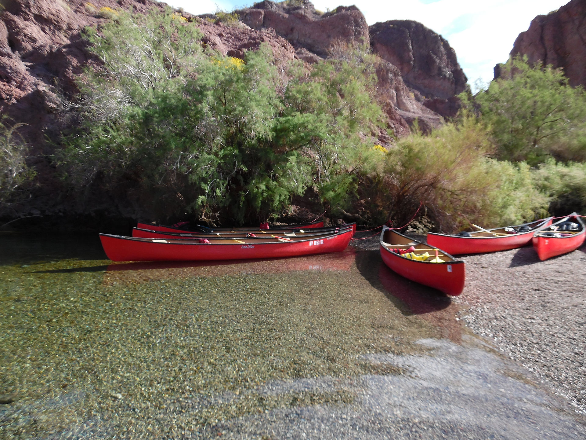 Parked Canoes