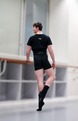 ILLIO ♥ Check tutu shorts CELESTE TURCH Velvet Short – Triangl