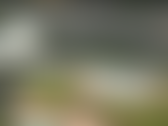 Château de Fontainebleau