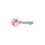 PRESTIGE GRAPHICS TRADING