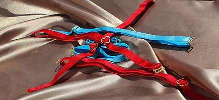 20210228_145155_edited.jpg