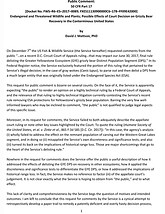 Mattson_Comments on FWS GYE DPS_Final-1.