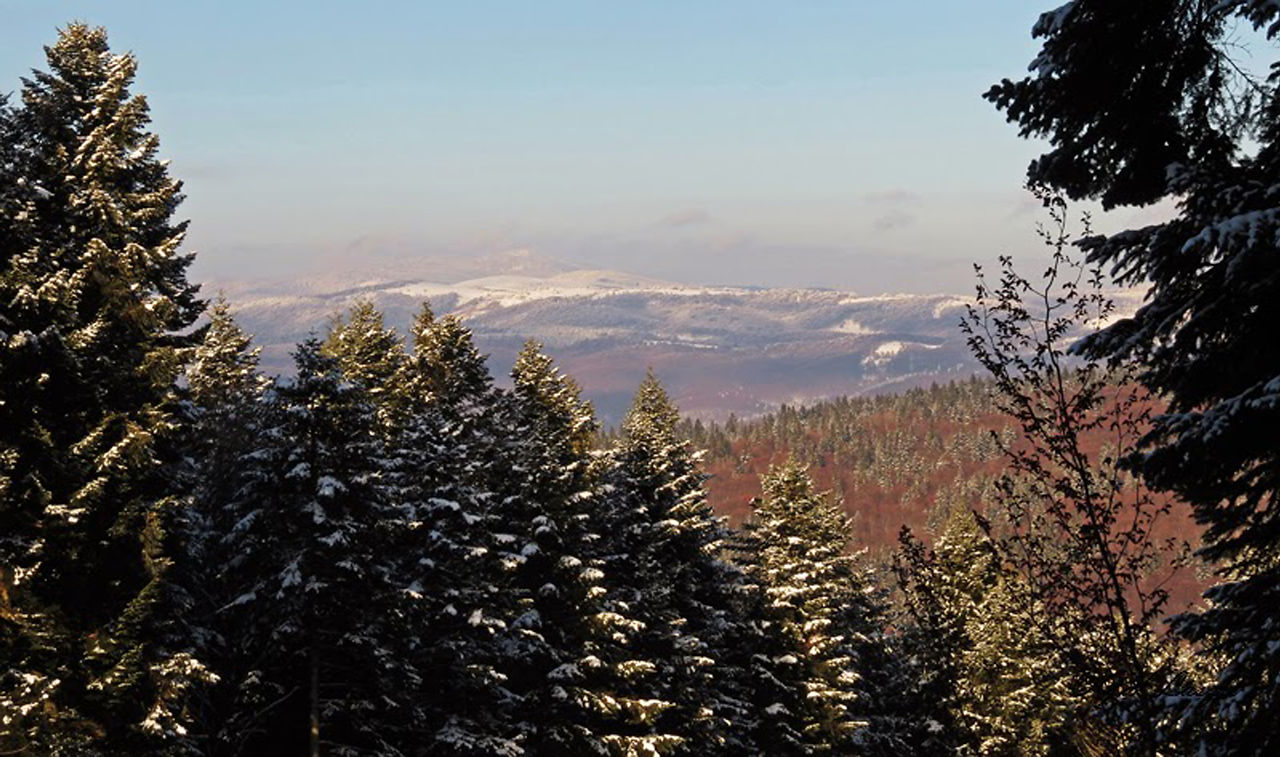 Mountain vista 2