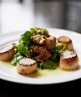 Main Course Gourmet Meal