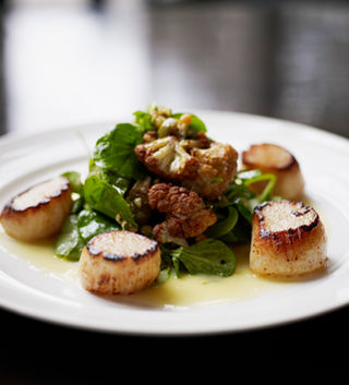 Scallops