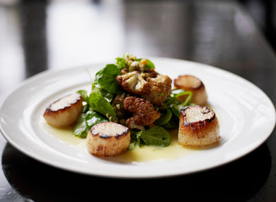Scallops 