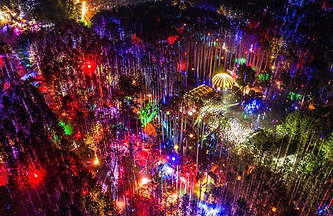 Electric Forest Blog 2025(3).26.png