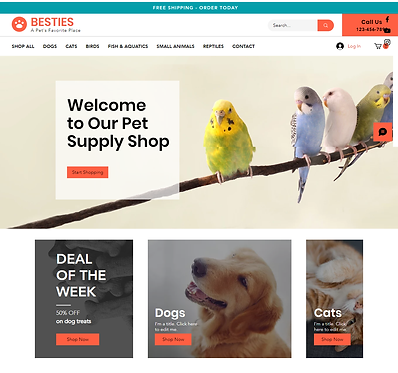 Blue Bridge Web Services eCommerce Website