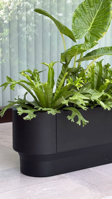 Detalle de jardinera de diseño innovador
