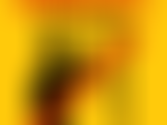 Bonjour à toutes et tous