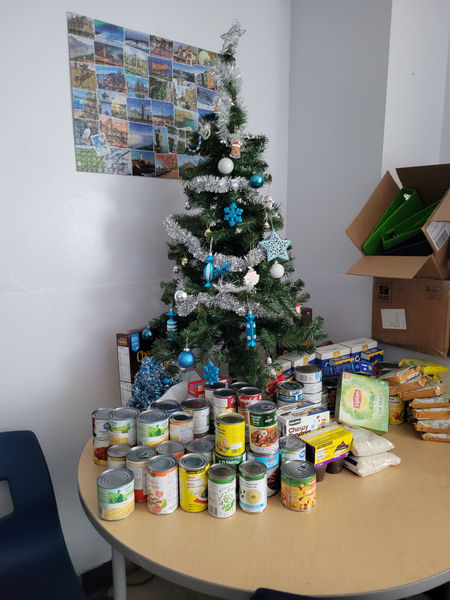 holiday tree.jpg