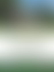 We'll be open for the Weekend in Old Monmouth - stop by!