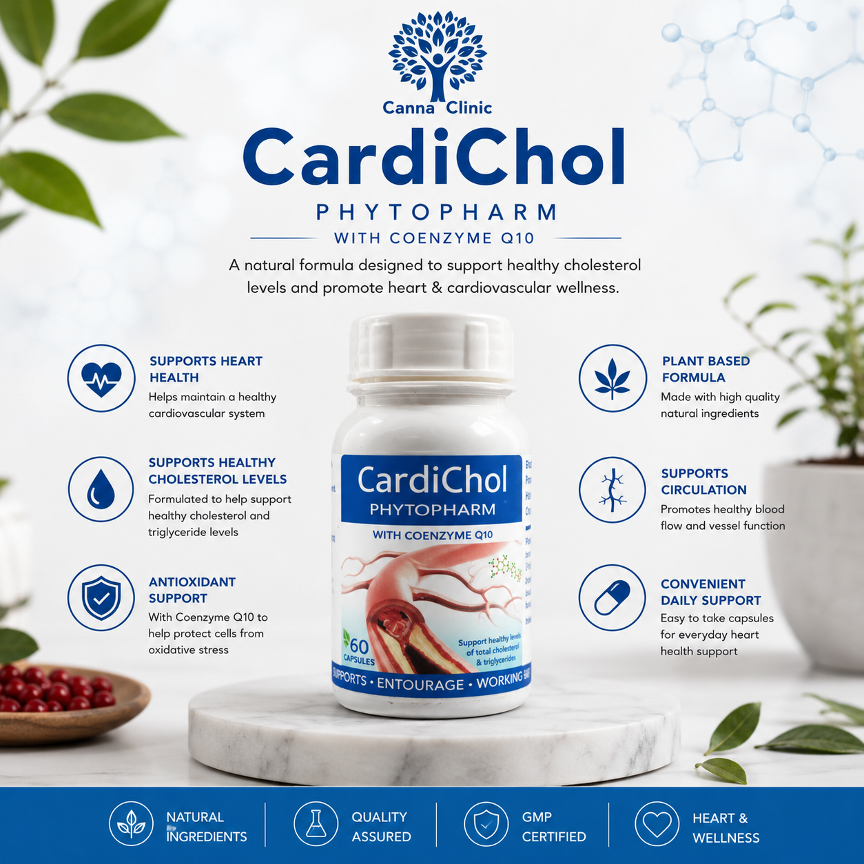 CardiChol
