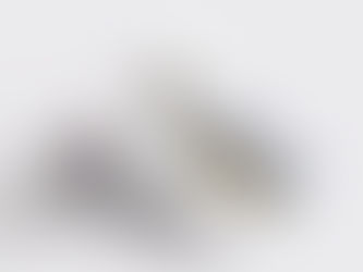 SFS Publishes New Nvelope® Capability Brochure