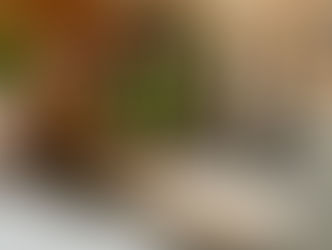 Welsh Slate Stars In London's Very First Nature-Driven Hotel Experience